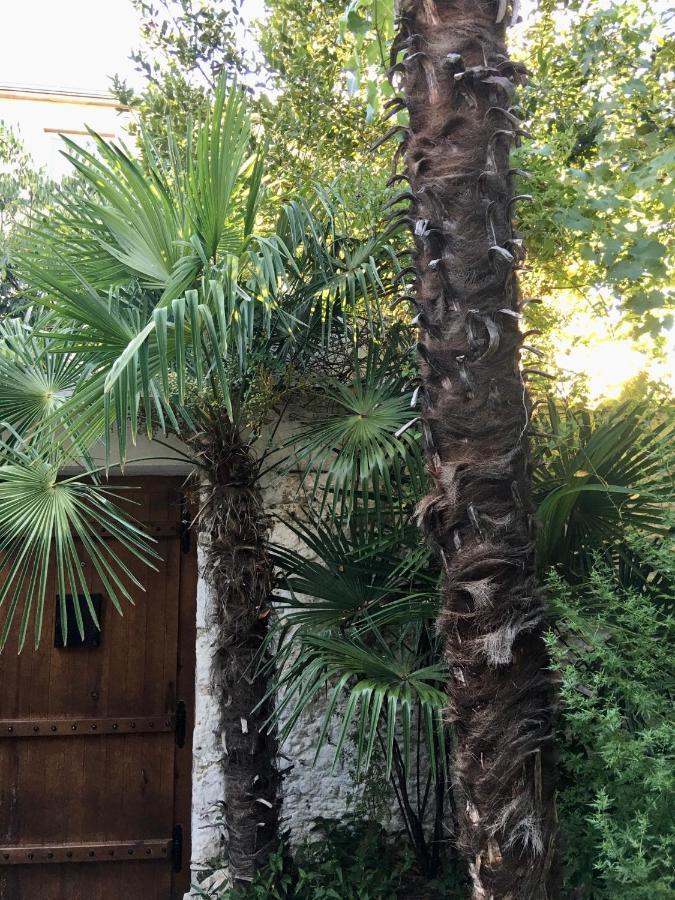 Palmera Mostar Extérieur photo