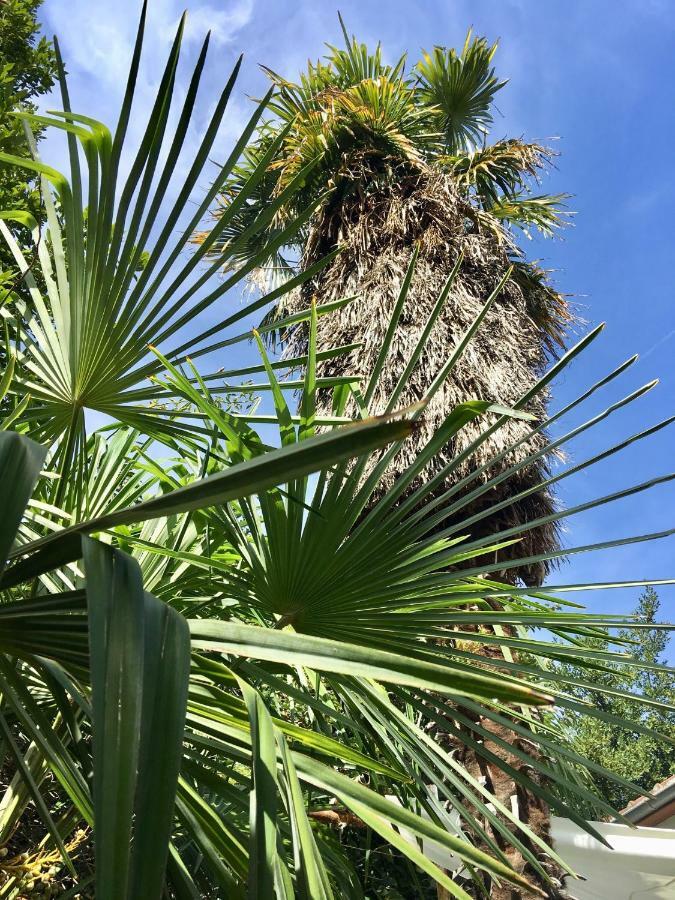 Palmera Mostar Extérieur photo