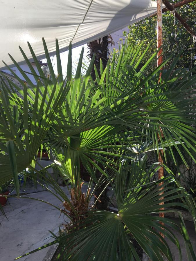 Palmera Mostar Extérieur photo