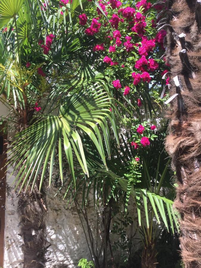 Palmera Mostar Extérieur photo